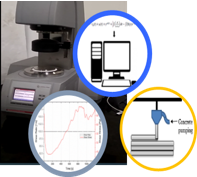 Thixotropy based fluid flow model