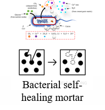 Waste based bacterial self-healing concrete